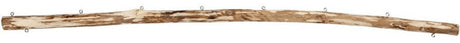 Creativ firma udstillingspind, l: 60 cm, d 15-20 mm, 1 stk