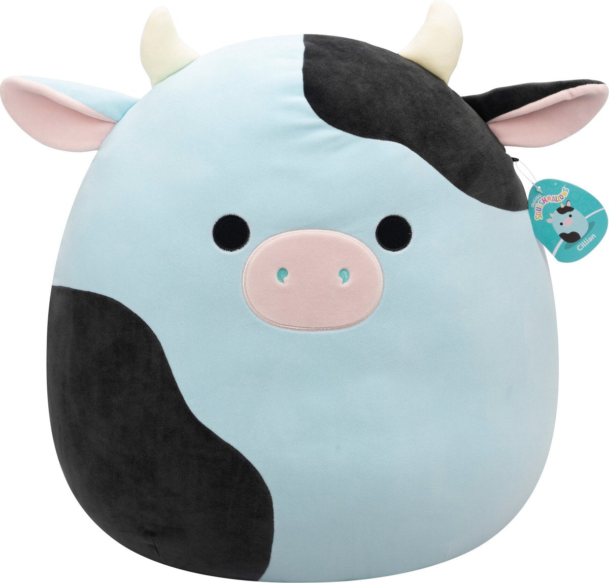 Squishmallows - cillian - blå og sort ko 50cm plys