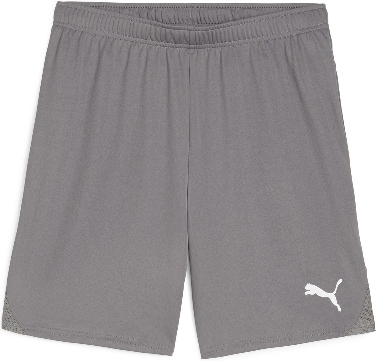 Puma teamgoal shorts herre sportsbukser - støbejern - hvid