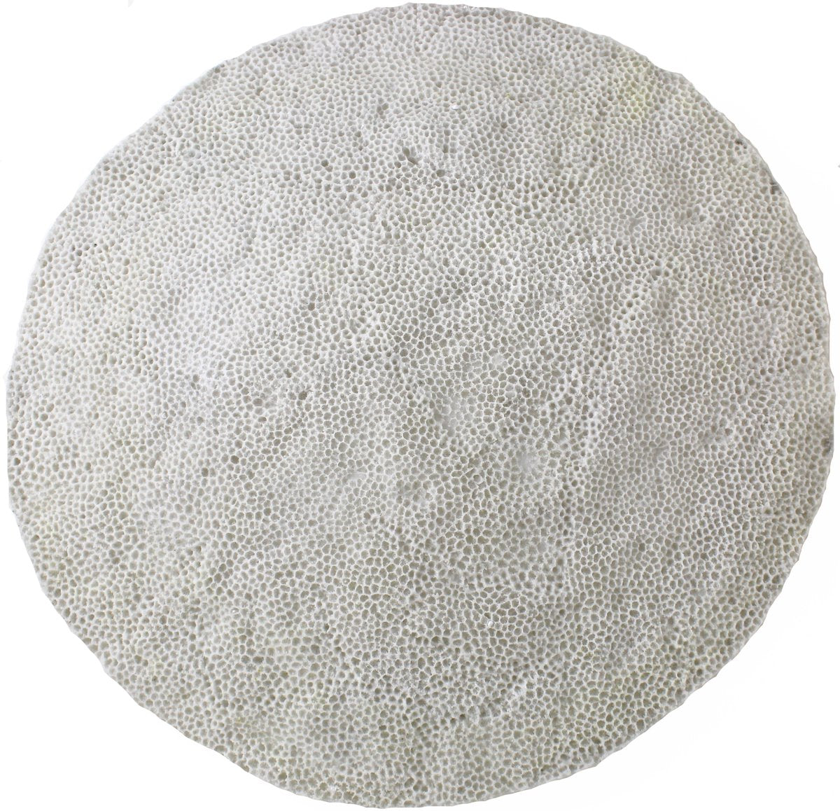 Hd collection wandplaat zandsteen ivoor 69,8x69,8x8,8cm