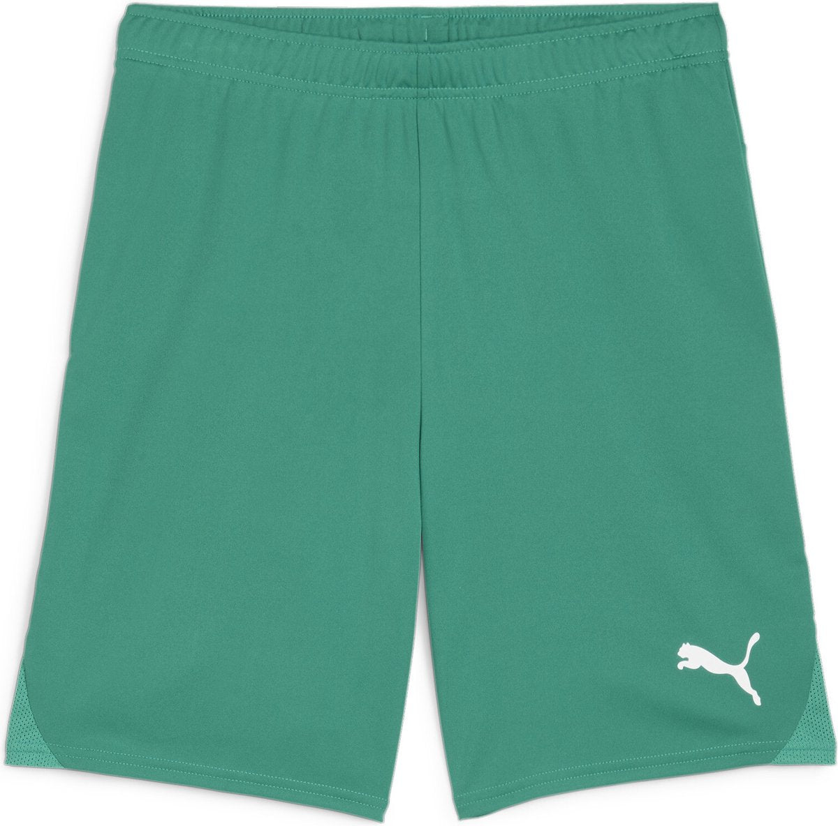 Puma teamgoal shorts herre sportsbukser - sport grøn - hvid