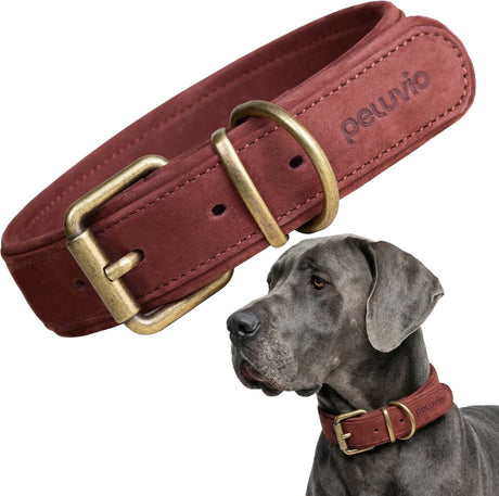 Peluvio rexor – leren hondenhalsband – bruin – l-xl 53-63 cm – 4 cm breed – verstelbare halsband van rundleer – koperen gesp – voor zeer grote honden