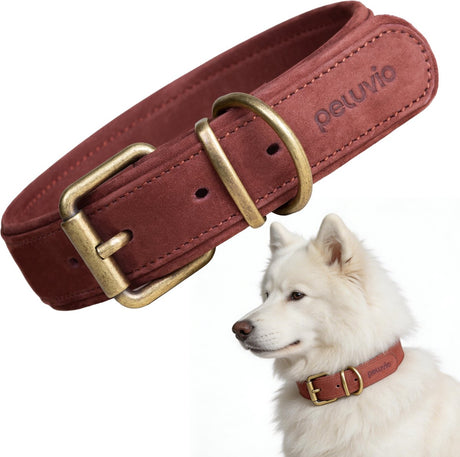 Peluvio rexor – hundehalsbånd i læder – brun – m-l 37-47 cm – 3,5 cm bred – justerbart halsbånd af okselæder – kobberspænde – til større mellemstore hunde