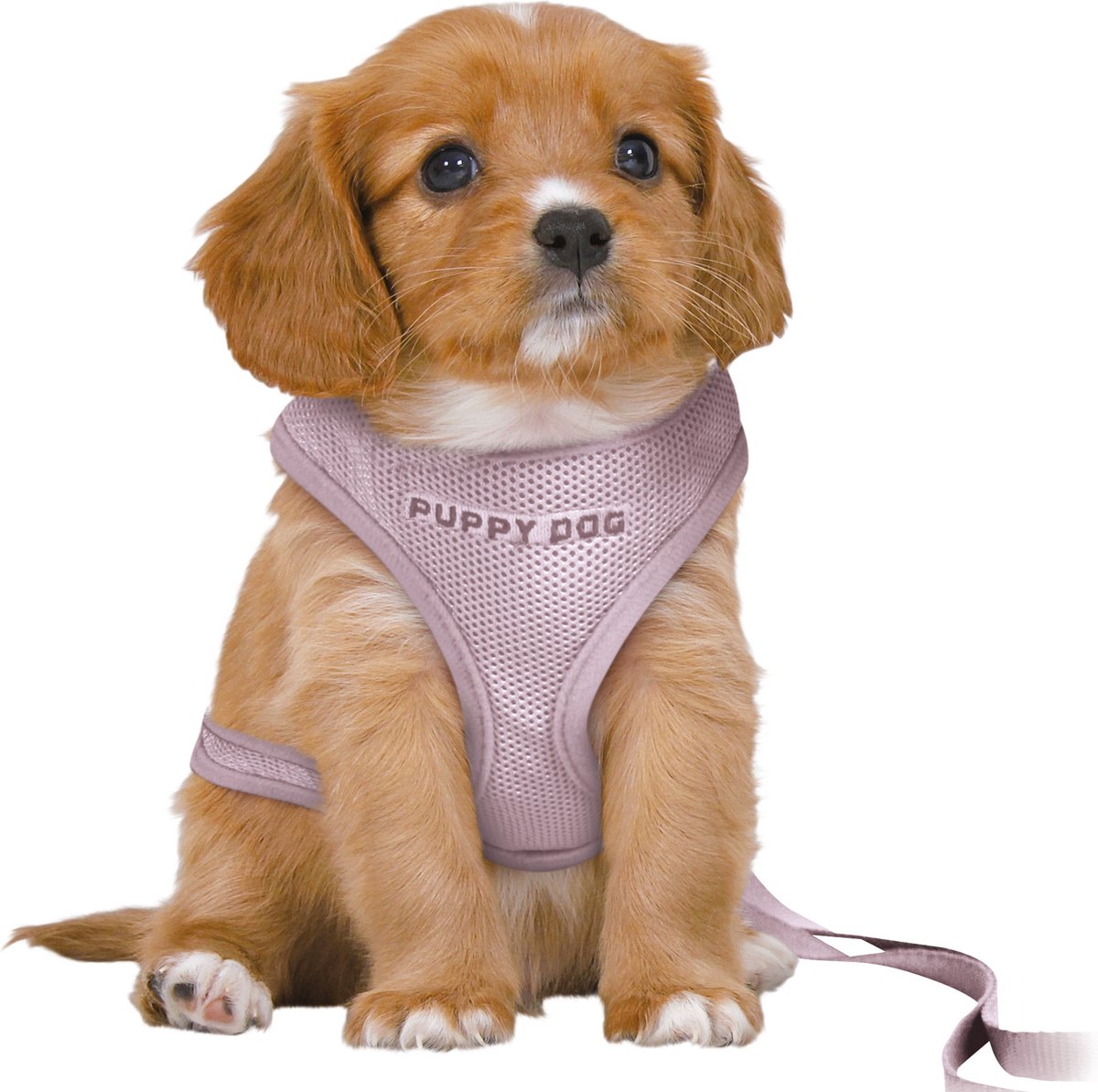 Trixie - hundesele - junior - hvalpe blød sele - med snor - lilla - 36-50x1 cm 2 m