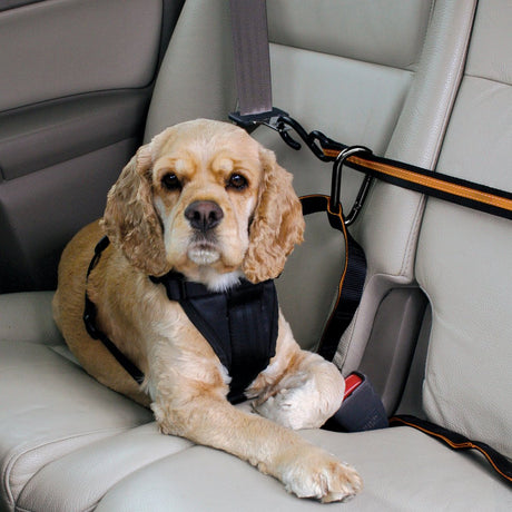 Kurgo - auto zip line til hunde - sort orange