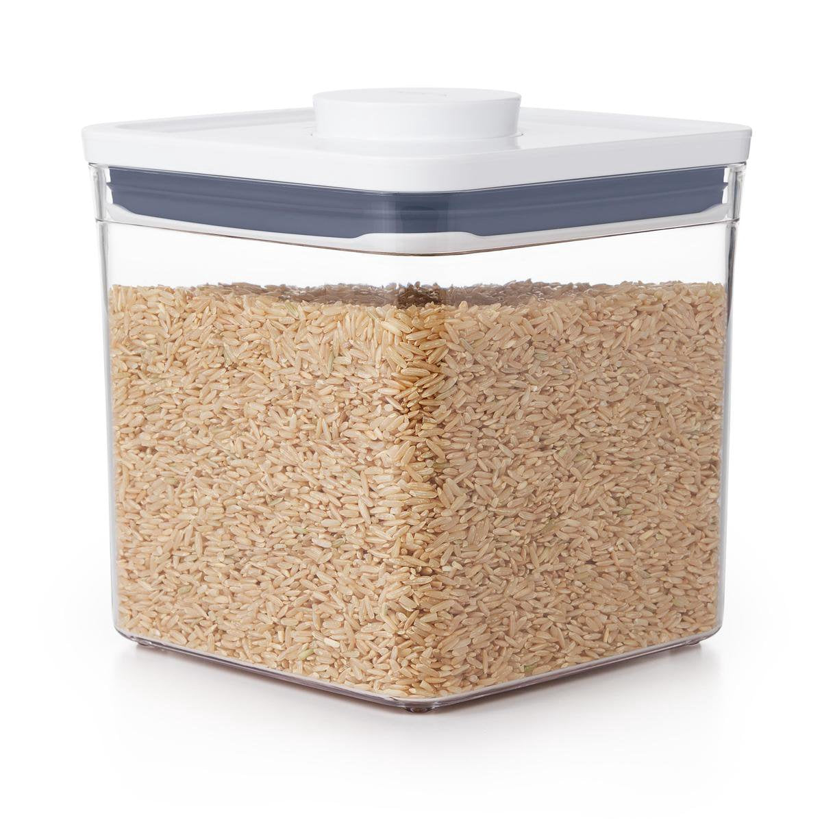 Oxo - pop opbevaringsbeholder - stor - lav - 2,6 liter
