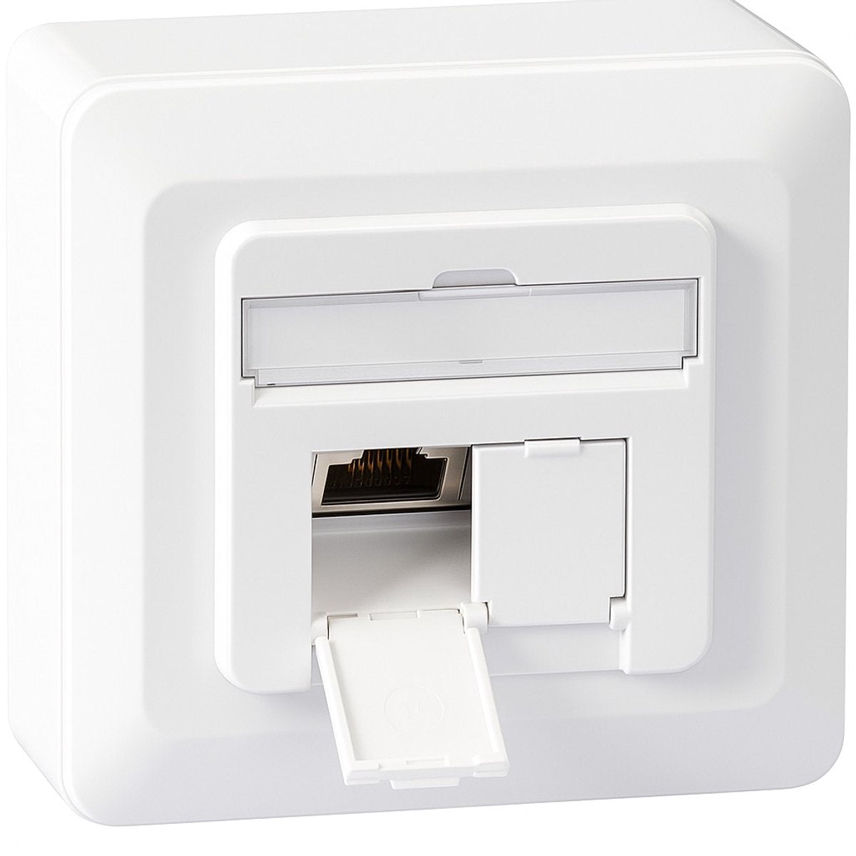 EFB Elektronik ET-25133AV5-R netværksboks overflademonteret (på væg), planmonteret (i væg) Cat 6A 2 porte ren hvid (RAL 9010)