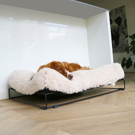 D d hjem - hund - amy pude med stel l - 110x80x25cm hvid - 227259