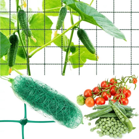 Gardlov versterkt groen net voor verticale groei klimplanten - 2x10m