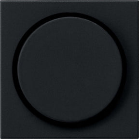 Gira systeem 55 besturingselement centrale plaat schakelmateriaal - 0650005 - e2ye6