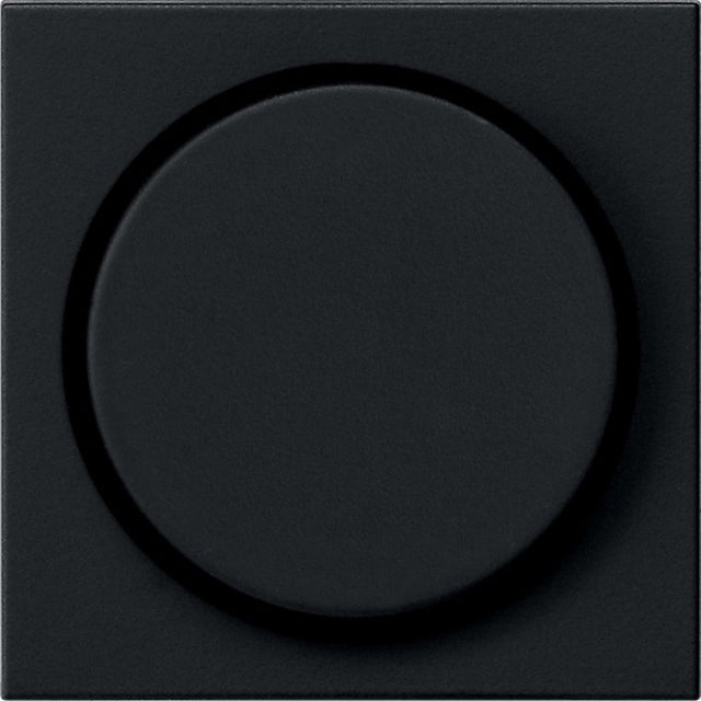 Gira systeem 55 besturingselement centrale plaat schakelmateriaal - 0650005 - e2ye6