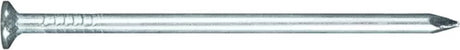 Fadix nagels spijkers platte kop - 2.7x60mm - 20 stuks