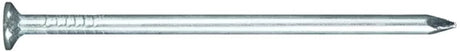 Fadix nagels spijkers platte kop - 2.7x40mm - 50 stuks