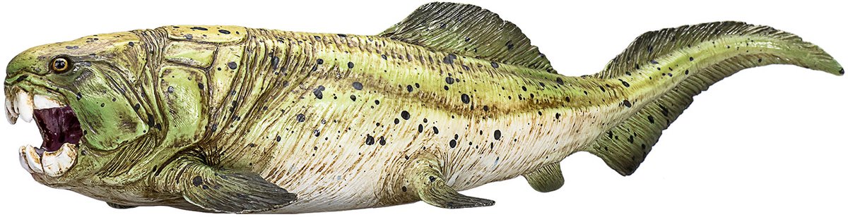 Mojo forhistorie dunkleosteus - 387374