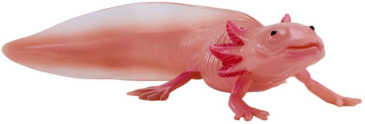 Mojo dyreliv axolotl 381108