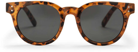Chpo briller côte des basques x leopard sort