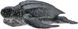 Collecta figur - læderskildpadde - (m) - havdyr - håndmalet - miniature
