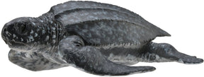 Collecta figur - læderskildpadde - (m) - havdyr - håndmalet - miniature