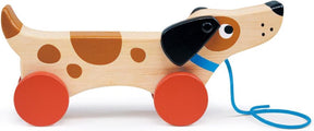 Mentari trekfiguur puppy