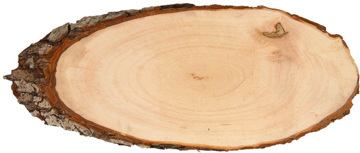 Playwood trænavneskilt træbark 30 cm kreativt legetøj.