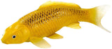 Mojo sealife koi karper - chin matsuba koi - 381105