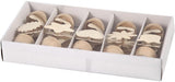 Creativ virksomhed https: www.cchobby.nl memoclip-h-10-cm-d-5-cm-10-piece-1-box