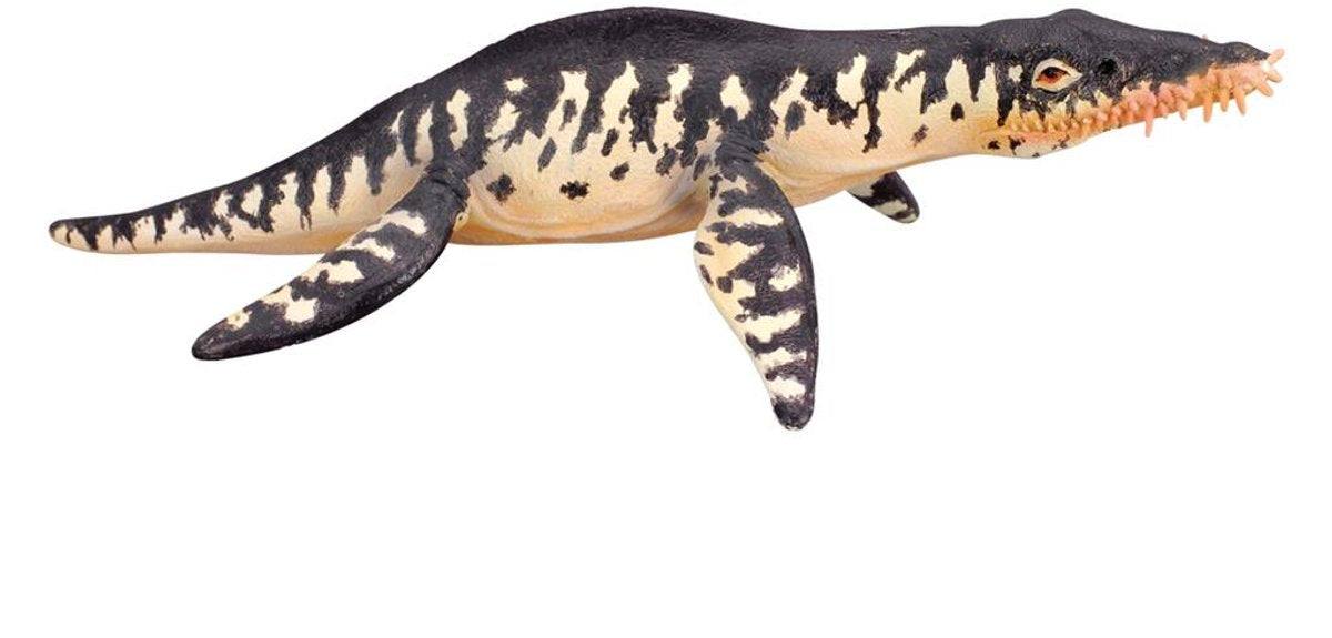 Collecta figur - liopleurodon - (l) - forhistorie - håndmalet - miniature