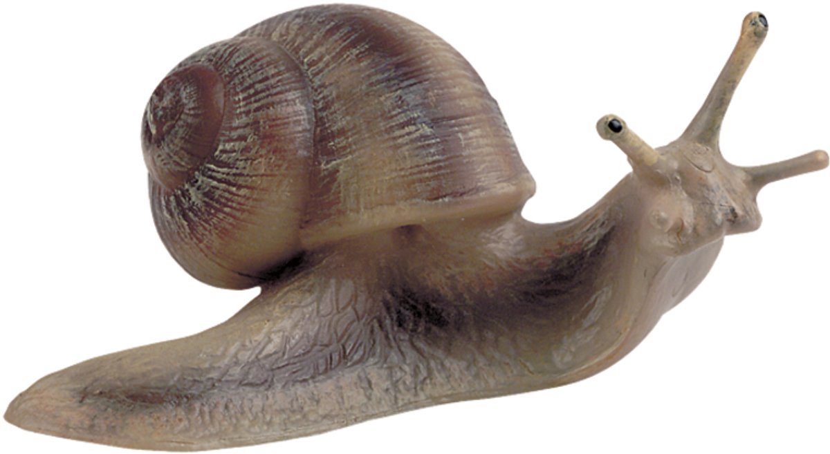 Bullyland 64375 – legefigur og v 64375 – legefigur og samlerfigur vingårdssnegl – ca. 3 cm – naturtro og rigt detaljerede – ideel som pædagogisk legefigur og lille gave til børn fra 3 år.