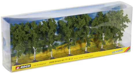 Nor birches
