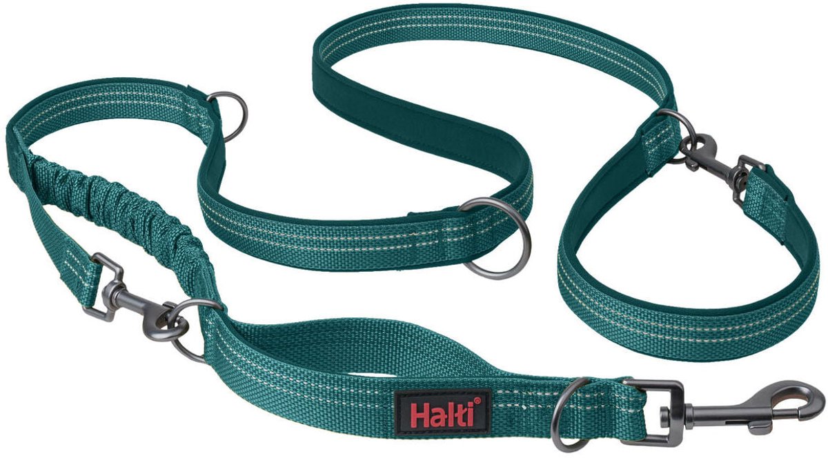 Selskab af dyr hundesnor turkis l