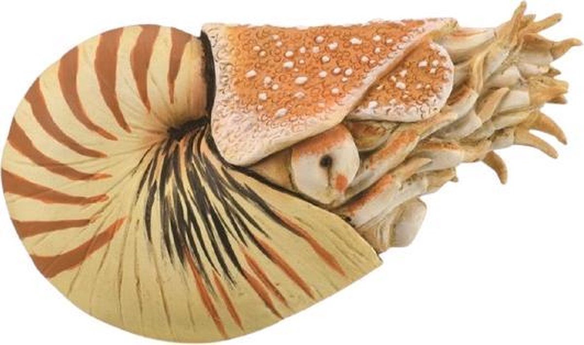Collecta figur - nautilus pompilius - (xl) - forhistorie - håndmalet - miniature