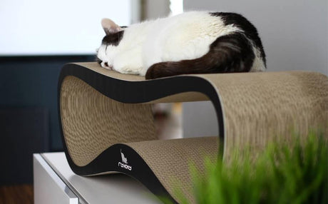 Mykotty lazy - kradsestolpe - sort - 75cm x 25cm