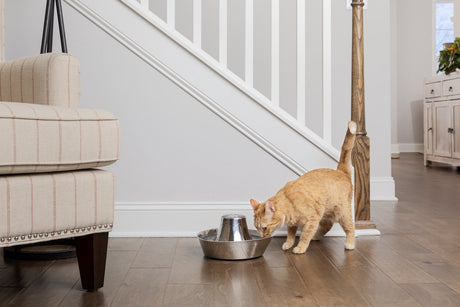 Petsafe ® kæledyrsfontæne i rustfrit stål ved havet - drikkefontæne i rustfrit stål til katte og små hunde - vand bobler blidt over tårnet - tilgængelig fra alle sider på grund af designet - 1,8 liter - ved havet