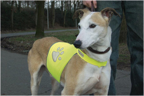 Beeztees safety gear veiligheidsvest - hond - geel - l