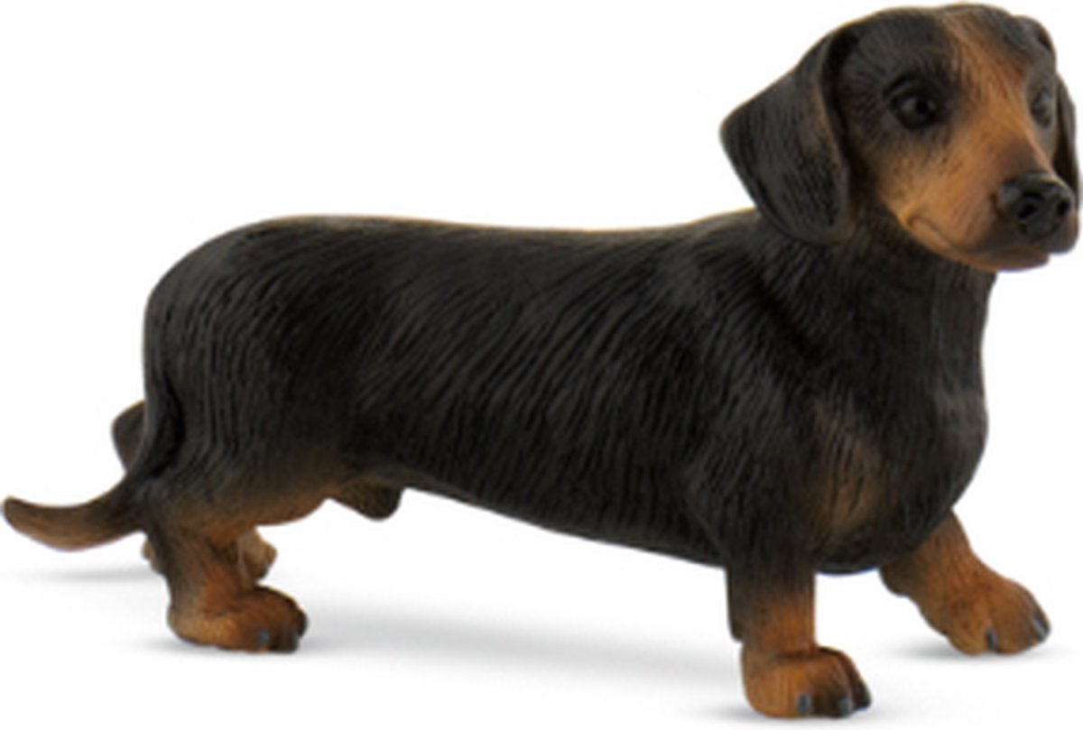 Bullyland 65441 – legefigur og samlerfigur korthåret gravhund Apollo – ca. 5,5 cm – naturtro og detaljeret design – ideel som pædagogisk legefigur og lille gave til børn fra 3 år.