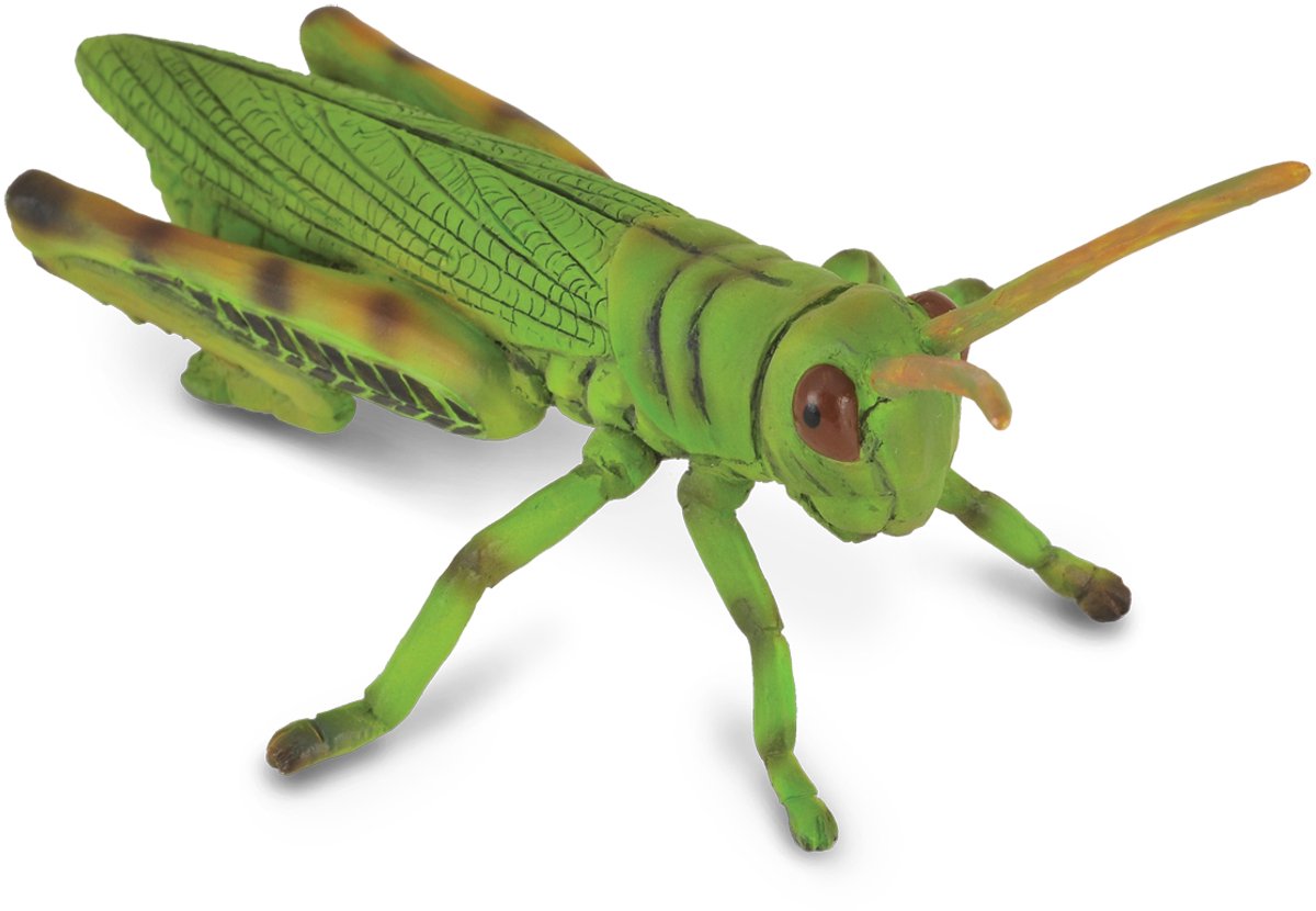 Collecta figur - græshoppe - (m) - insekter - håndmalet - miniature