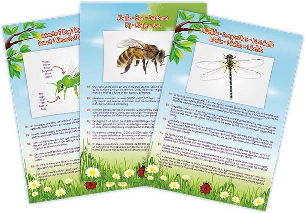 Buki frankrig buki - insektsuger
