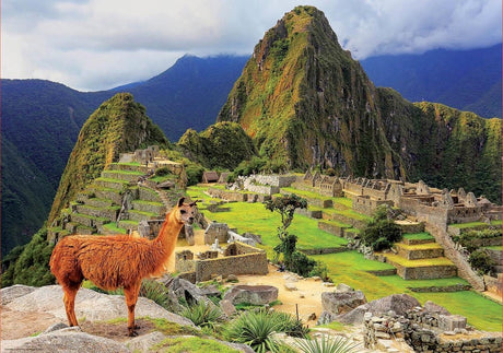 Educa puslespil - machu picchu, peru (1000)