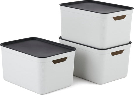 Rotho jive opbevaringsbokse sæt med 3 opbevaringsbokse 16 l med låg, plast (pp genbrugt), hvid antracit, 3 x 16 l (37,5 x 27,8 x 29,8 cm)