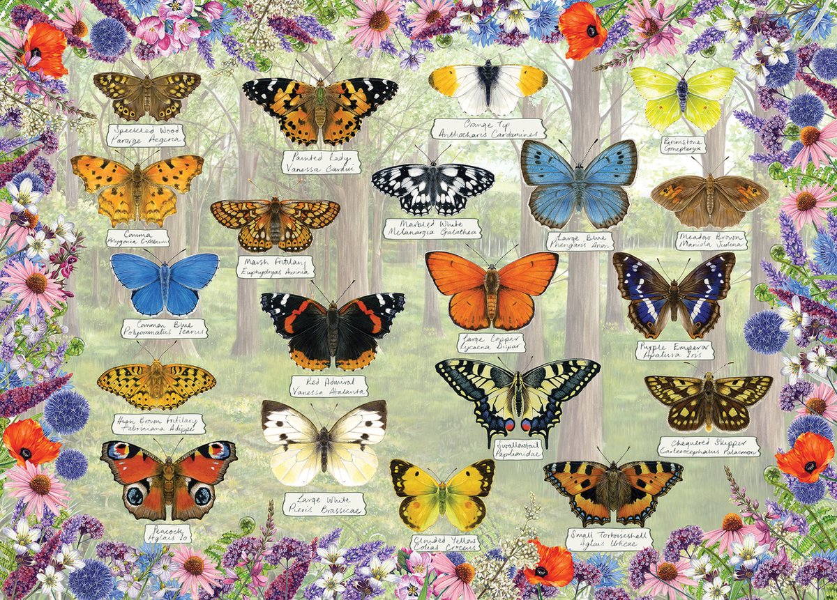 Gibsons - smukke sommerfugle (af fiona osbaldstone) - 1000 brikker 68×49cm (b×h) - puslespil til voksne