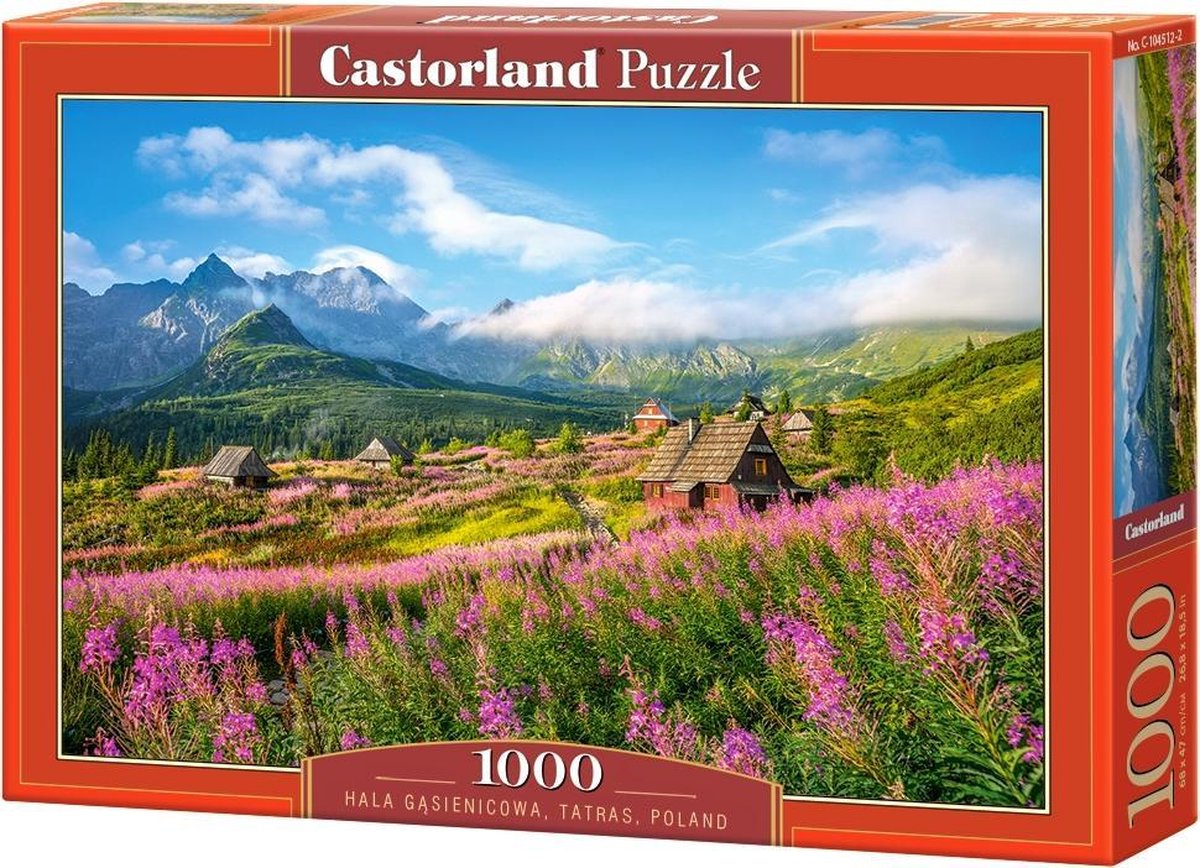 Castorland hala gąsienicowa, tatras, Polen - puslespil - 1.000 brikker - satin finish - perfekt pasform - Europæisk kvalitet