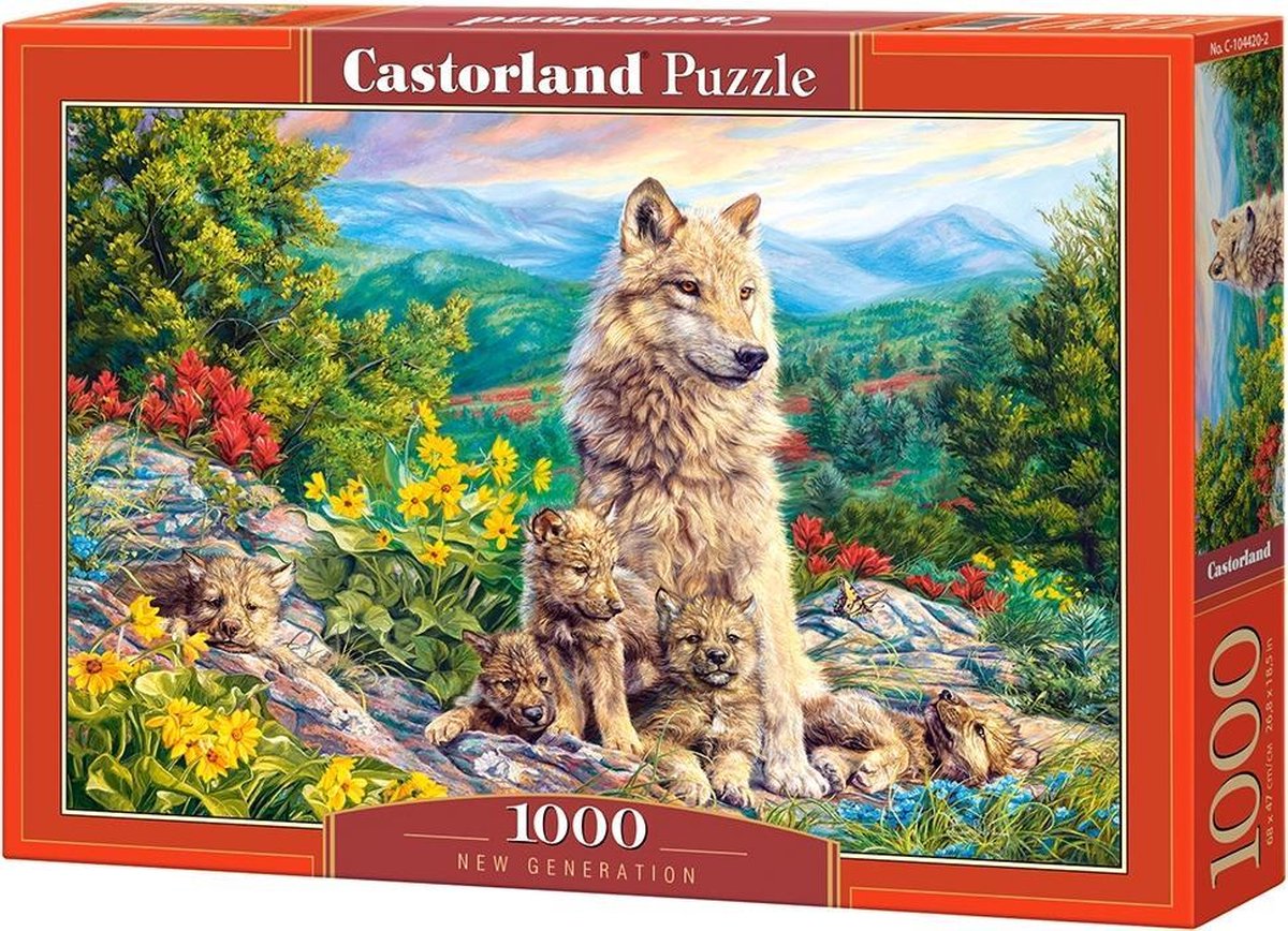 Castorland ny generation – puslespil – 1.000 brikker – satin finish – perfekt pasform – europæisk kvalitet