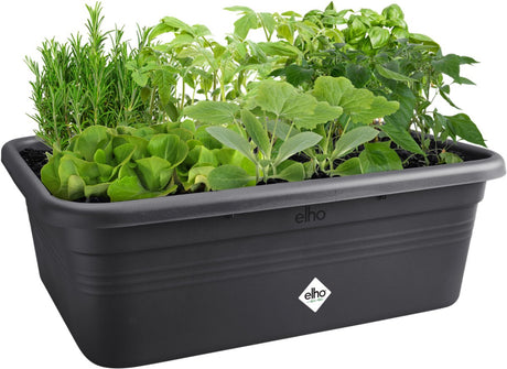 Elho green basics grow garden l - grote kweekbak - moestuinbak met vakverdelers - 100% gerecycled plastic - 76.3 x 57.4 x 26.8 cm - living black