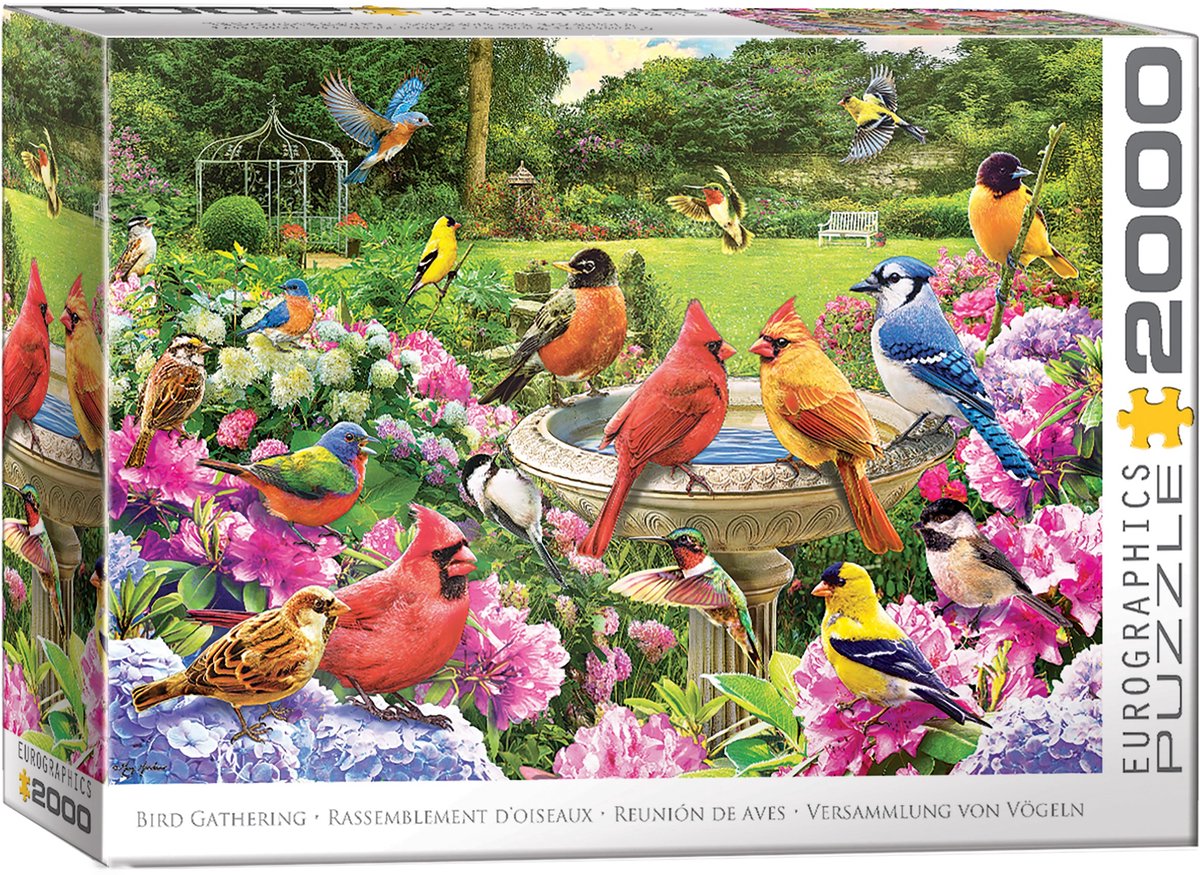 Eurographics puslespil fugle 2000 brikker - puslespil natur.