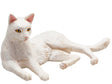 Mojo landbrugsjord liggende kat hvid - 387368