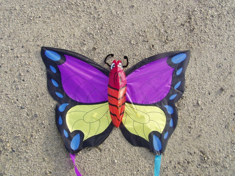 Didak beach pinky winky kite - 52x73 cm