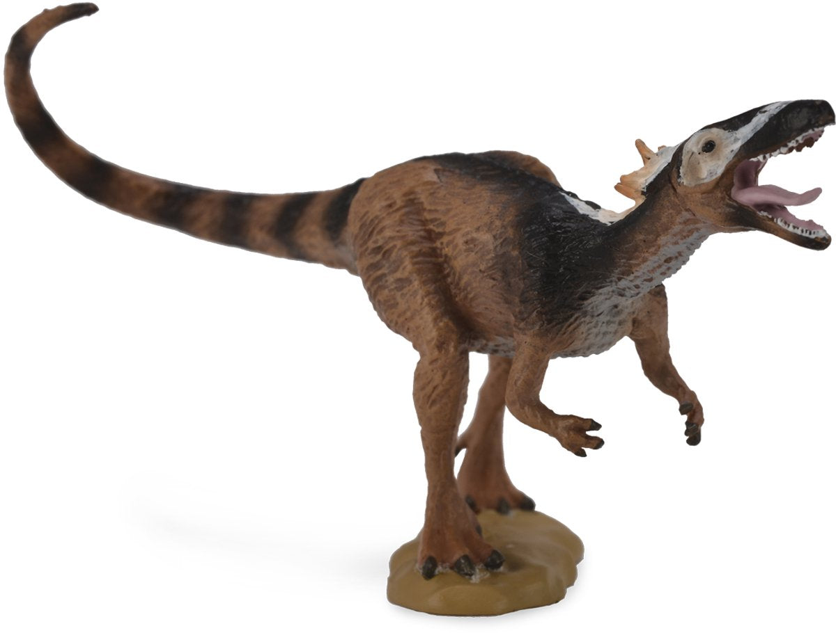Collecta forhistorie (m): xiongguanlang 10x6cm