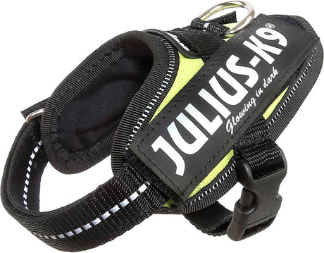 Julius k9 julius-k9 idc®power sele, 3xs - baby1, neon