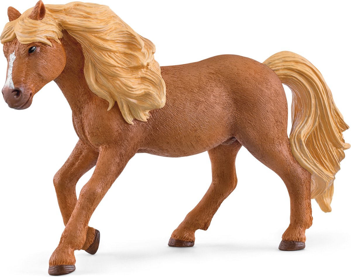Schleich hesteklub - islandsk ponyhingst - spillefigur - børnelegetøj til drenge og piger - 5 til 12 år - 13943