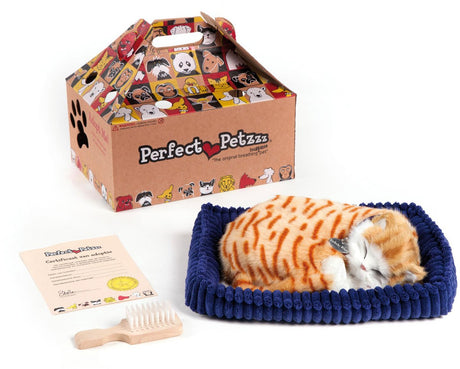 Perfekt petzzz blød orange tabby